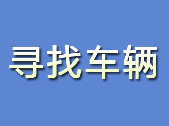 长江新区寻找车辆